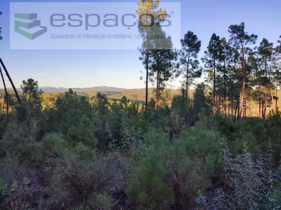 Helårsgrund i Castelo Branco, Castelo Branco - foto 4