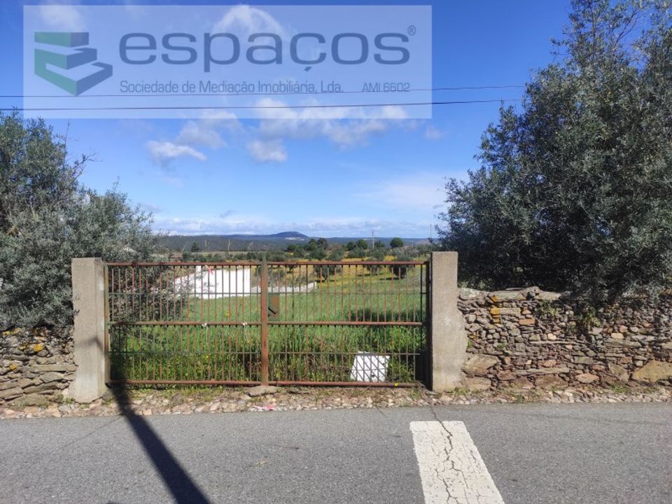 Terra a Castelo Branco, Castelo Branco - foto 1
