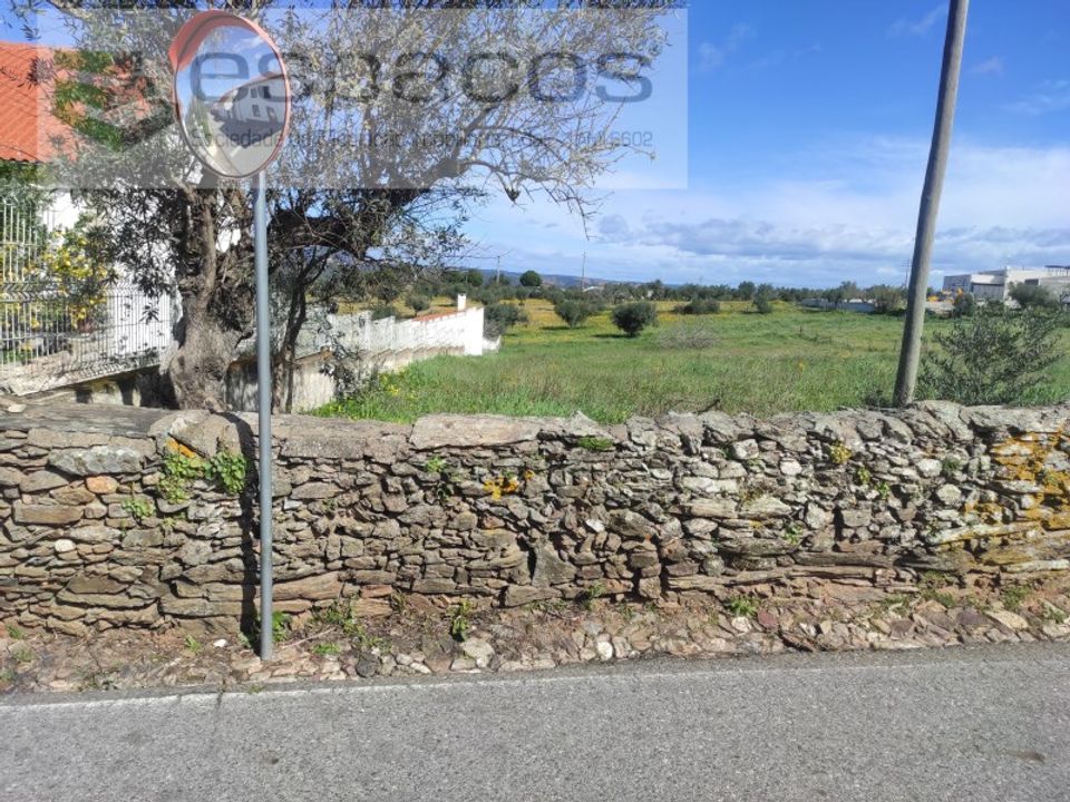 Terra a Castelo Branco, Castelo Branco - foto 4
