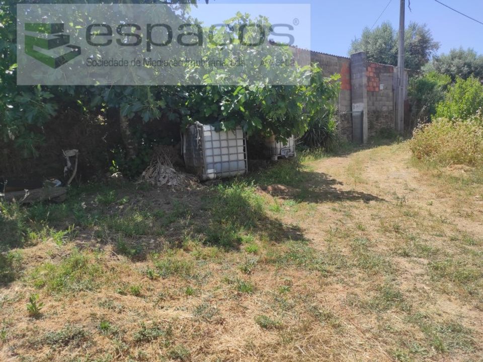 Granja a Castelo Branco, Castelo Branco - foto 1