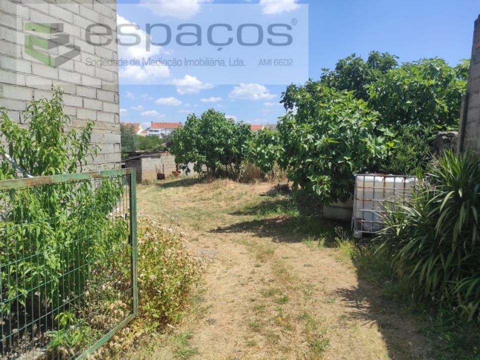 Granja a Castelo Branco, Castelo Branco - foto 2