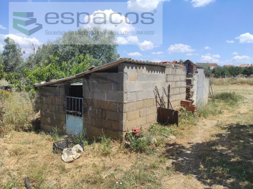 Granja a Castelo Branco, Castelo Branco - foto 5