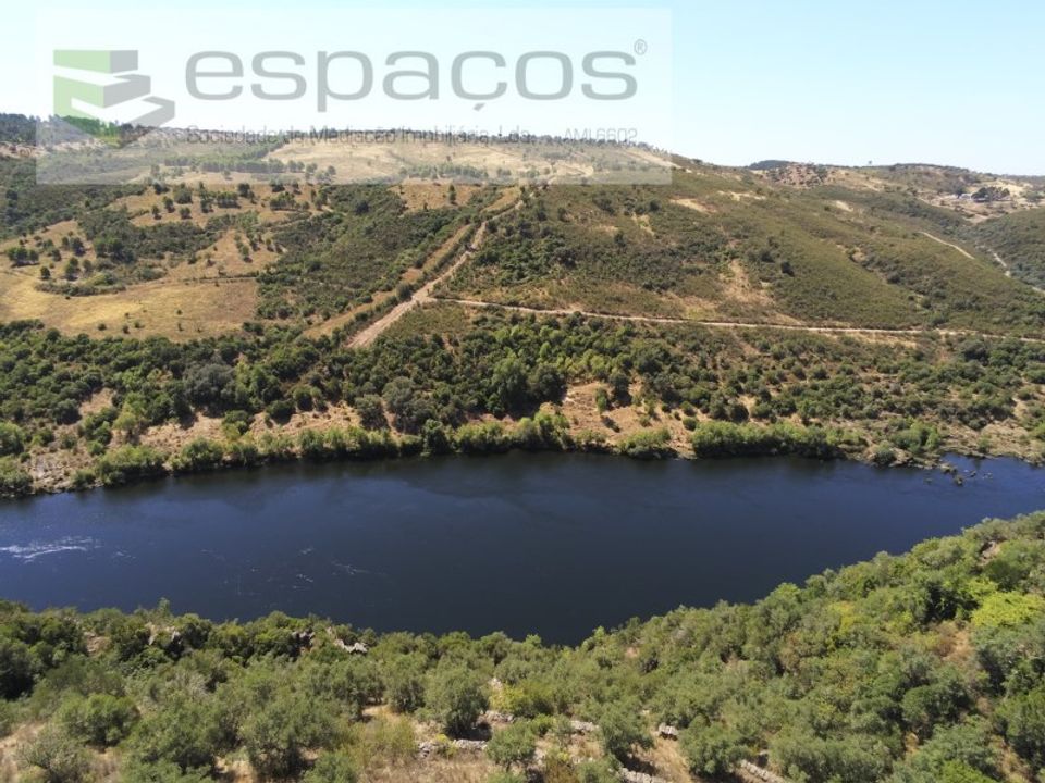 Helårsgrund i Perais, Castelo Branco - foto 5
