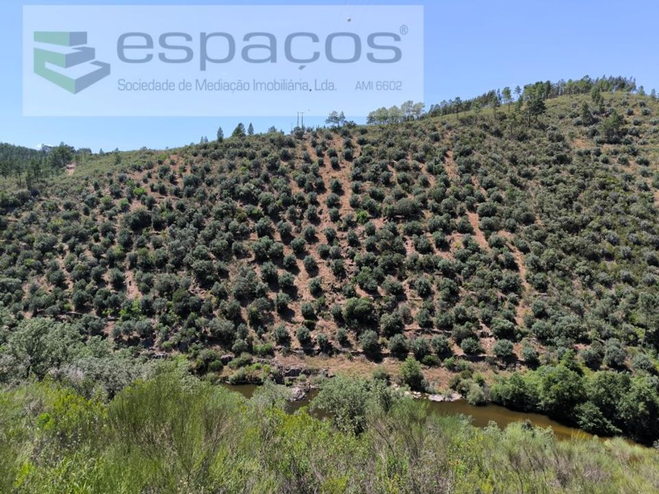 Helårsgrund i Castelo Branco, Castelo Branco - foto 4