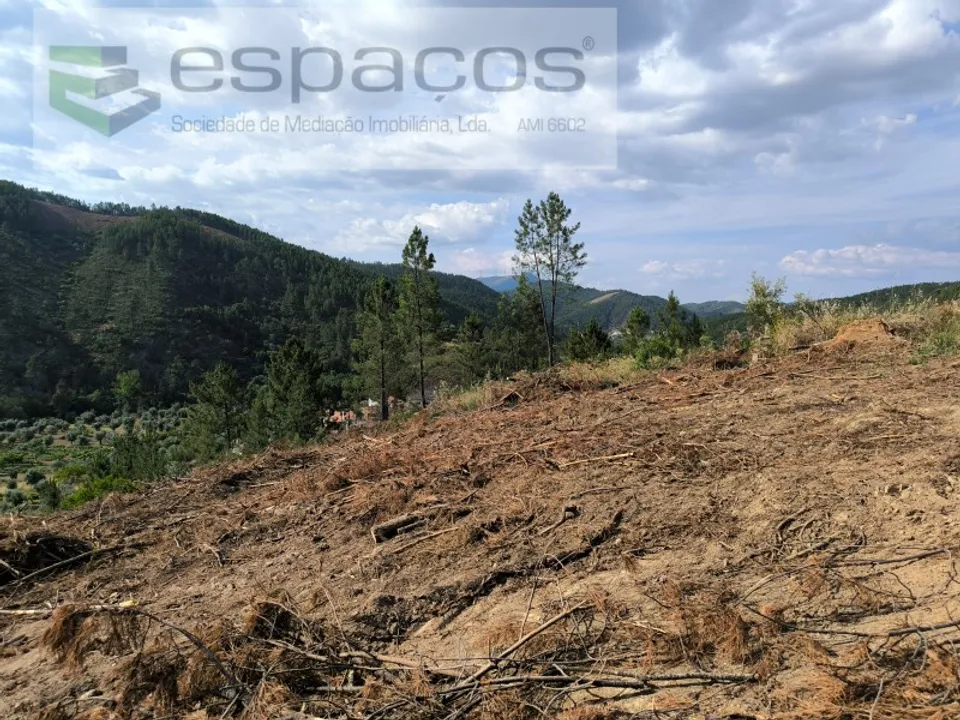 Helårsgrund i Castelo Branco, Castelo Branco - foto 4