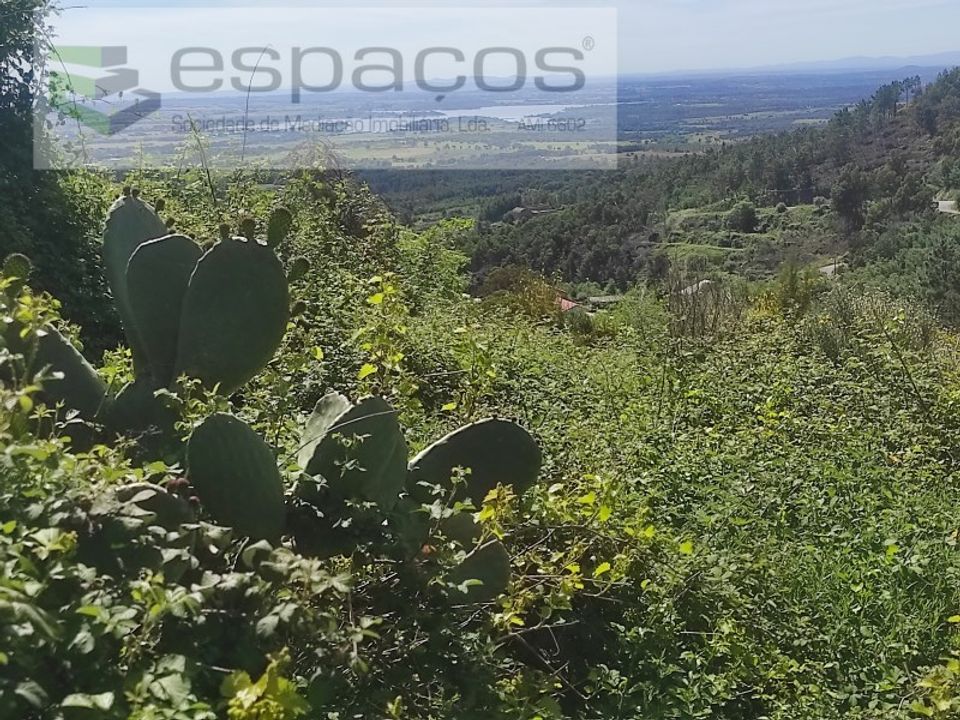 Helårsgrund i Castelo Branco, Castelo Branco - foto 1