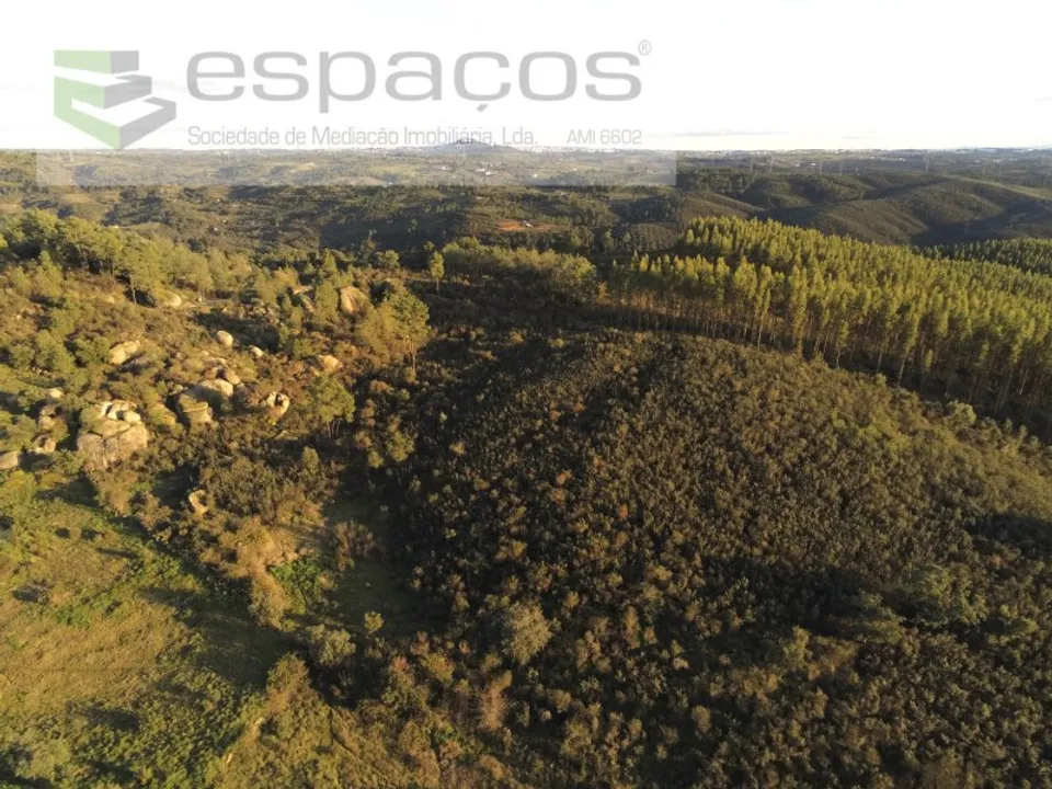 Helårsgrund i Castelo Branco, Castelo Branco - foto 1