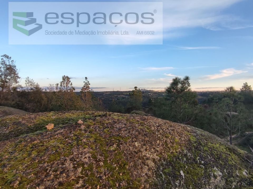 Helårsgrund i Castelo Branco, Castelo Branco - foto 5