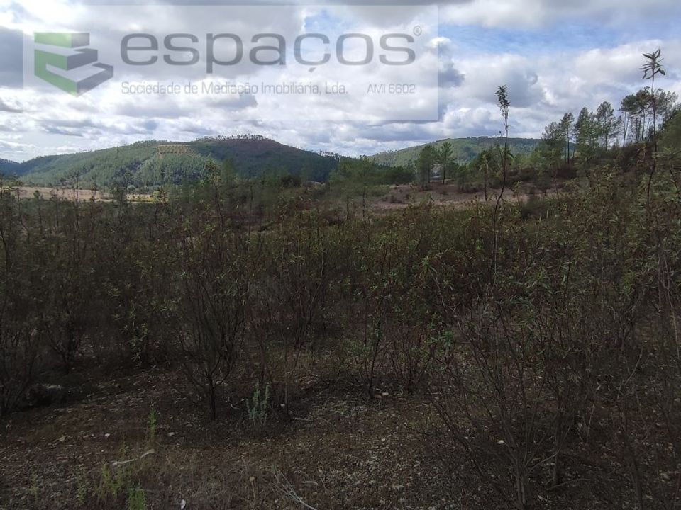Terra a Ninho do Acor, Castelo Branco - foto 2
