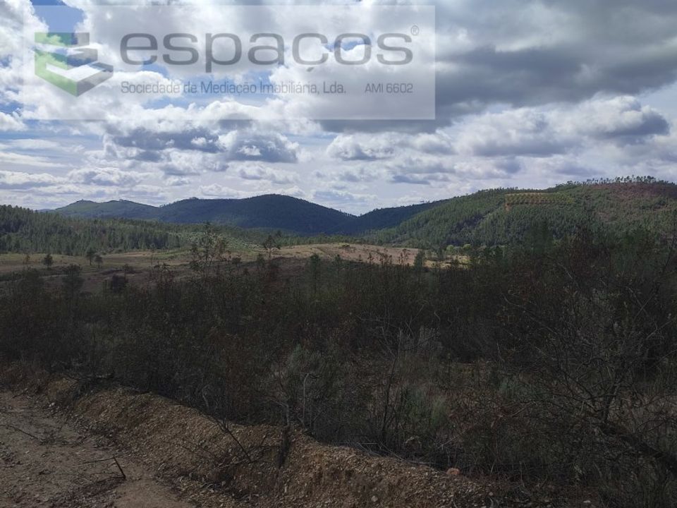 Terra a Ninho do Acor, Castelo Branco - foto 4