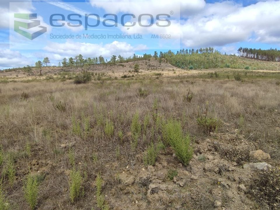 Terra a Ninho do Acor, Castelo Branco - foto 5