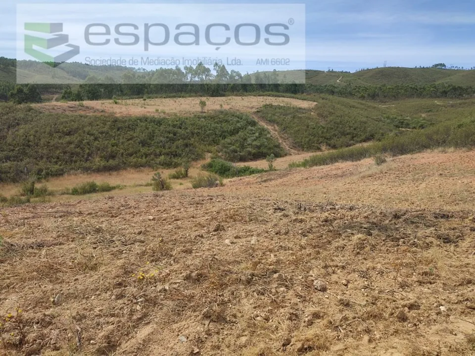 Helårsgrund i Perais, Castelo Branco - foto 3