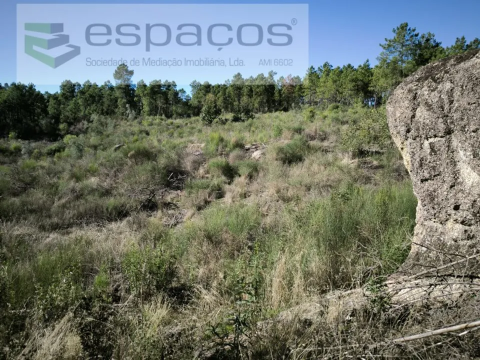 Helårsgrund i Castelo Branco, Castelo Branco - foto 1