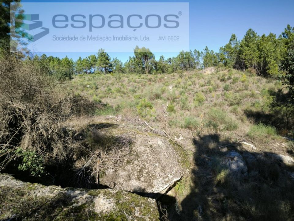 Helårsgrund i Castelo Branco, Castelo Branco - foto 4
