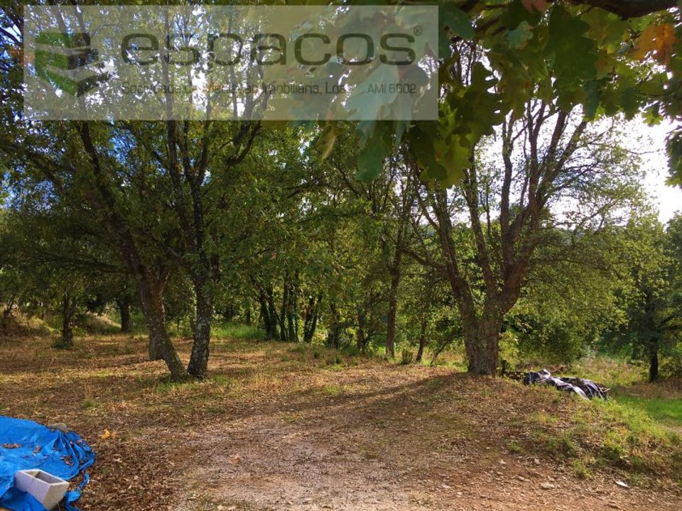 Helårsgrund i Fundao, Castelo Branco - foto 2