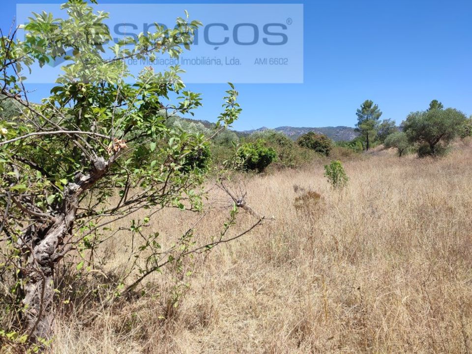 Terreno en Santana, Portalegre - foto 4