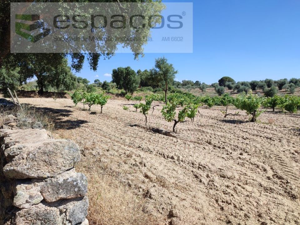 Helårsgrund i Castelo Branco, Castelo Branco - foto 4