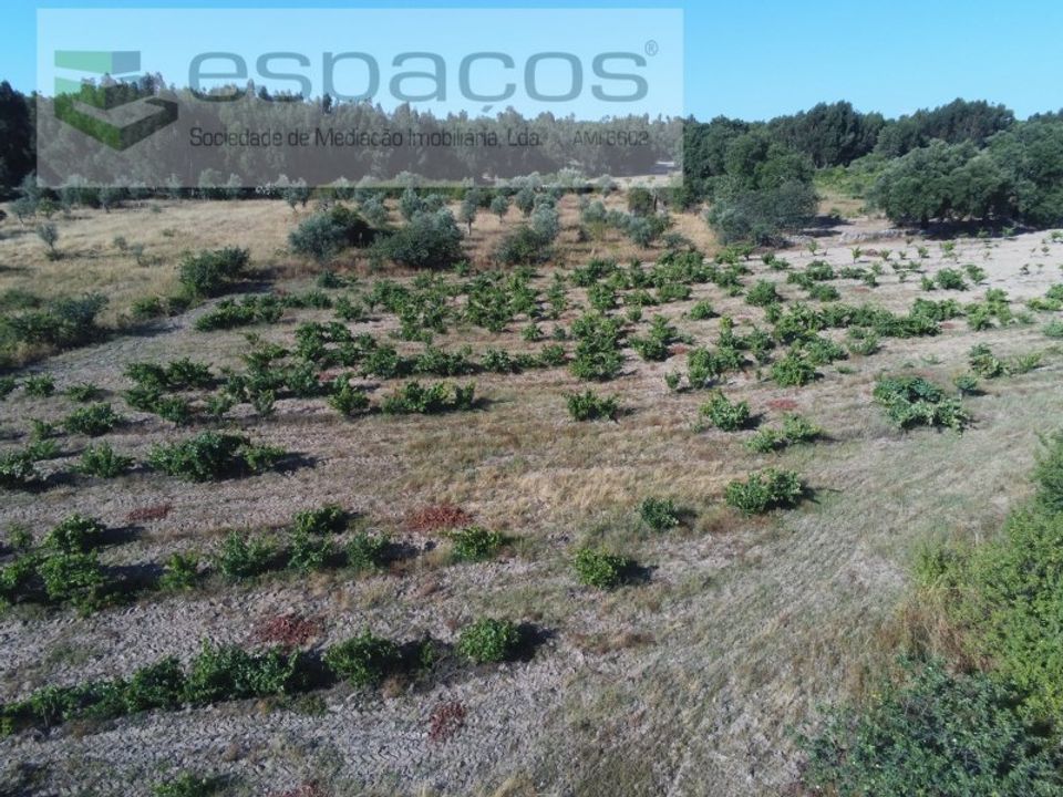 Helårsgrund i Castelo Branco, Castelo Branco - foto 5