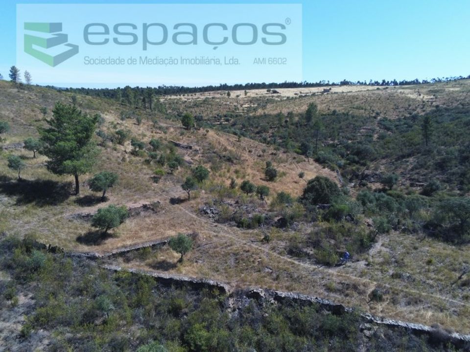 Helårsgrund i Perais, Castelo Branco - foto 3