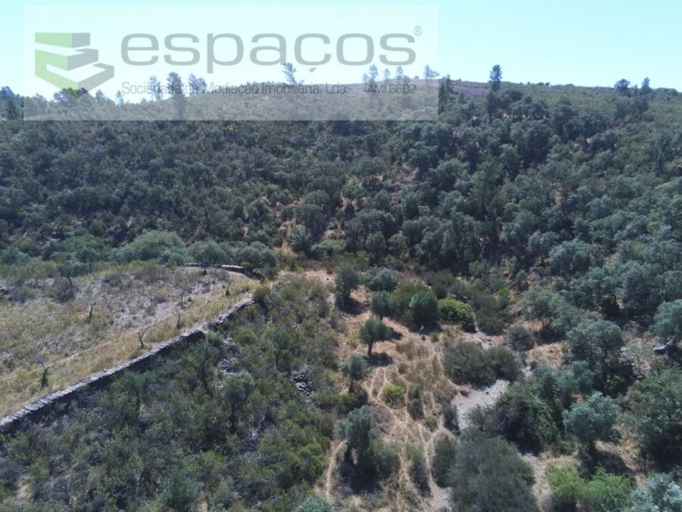 Helårsgrund i Perais, Castelo Branco - foto 5