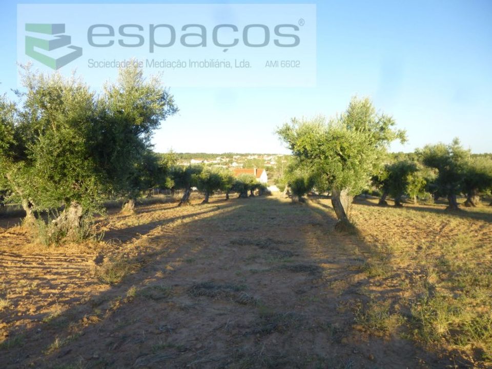 Helårsgrund i Castelo Branco, Castelo Branco - foto 1