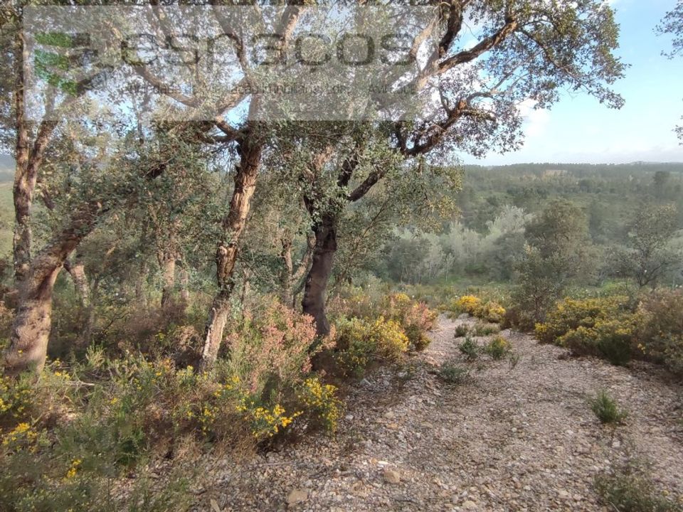 Helårsgrund i Castelo Branco, Castelo Branco - foto 4