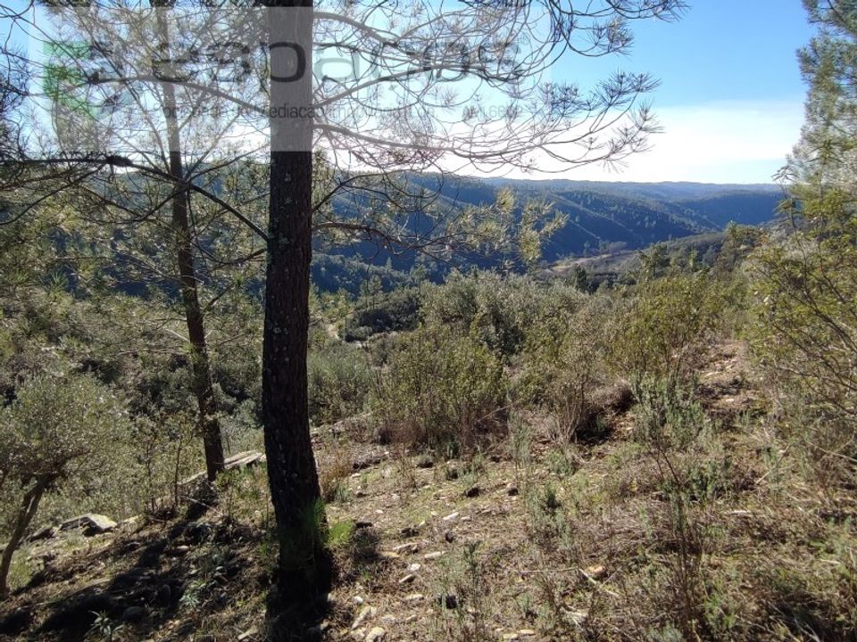 Helårsgrund i Castelo Branco, Castelo Branco - foto 1