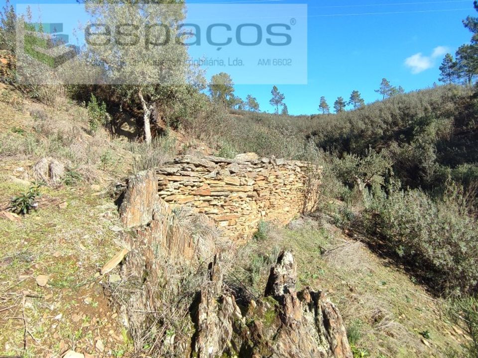 Helårsgrund i Castelo Branco, Castelo Branco - foto 2