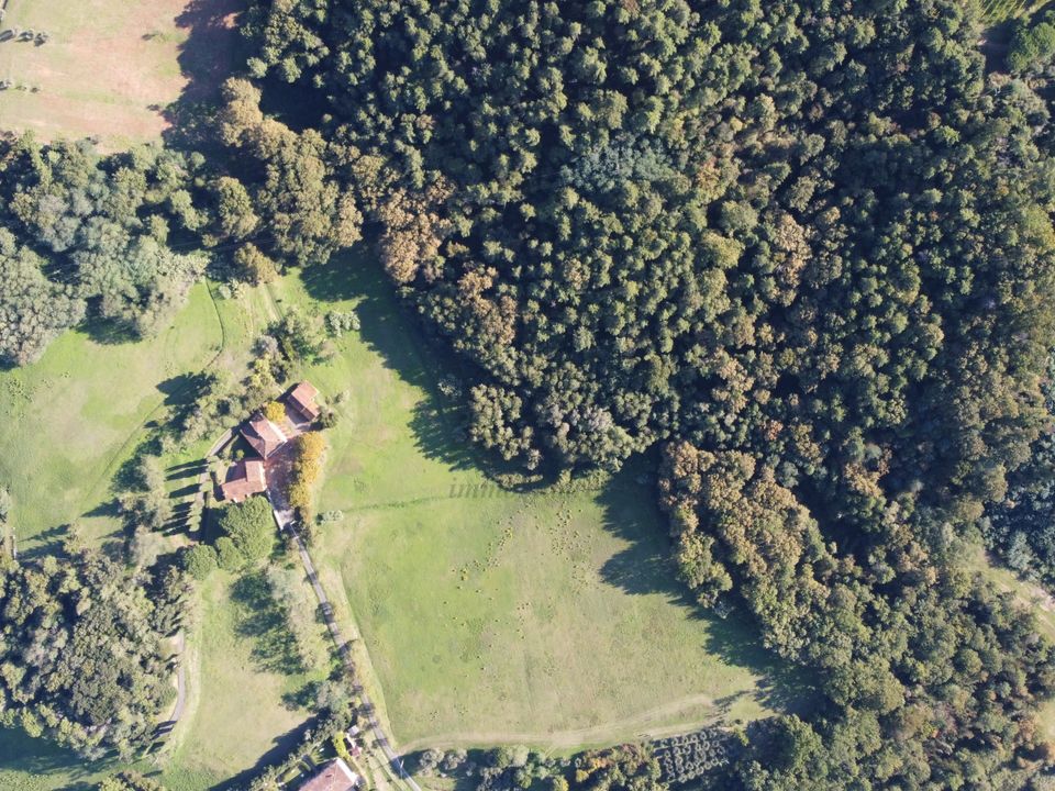 Erhvervsejendom i Capannori, Lucca - foto 4