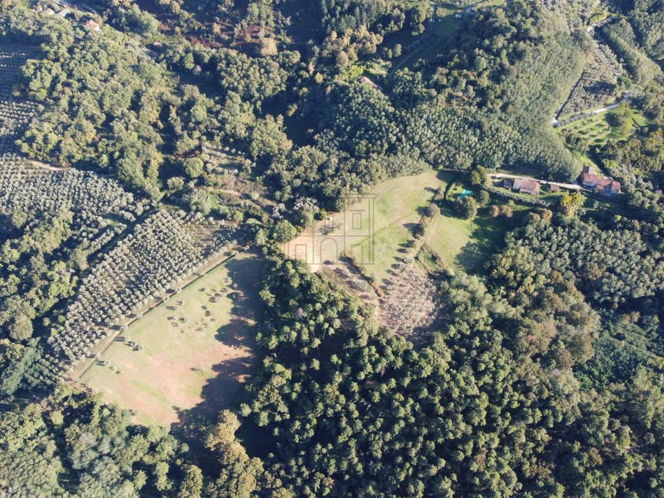 Erhvervsejendom i Capannori, Lucca - foto 5