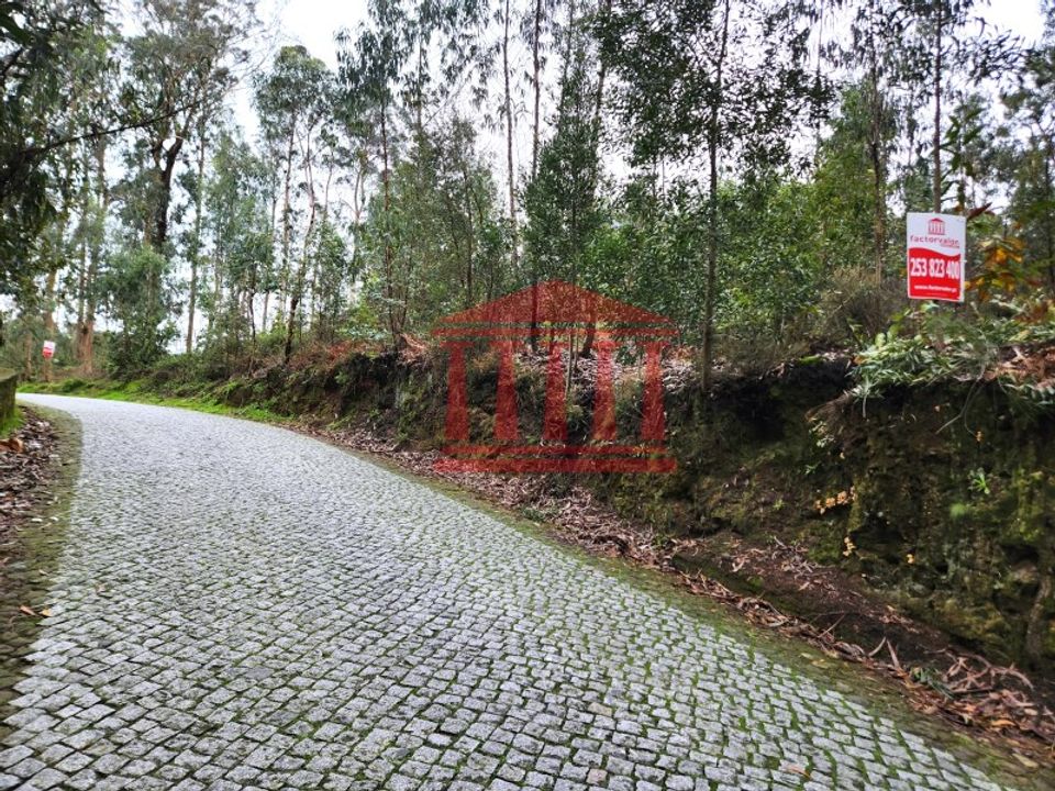 Helårsgrund i Barcelos, Braga - foto 3