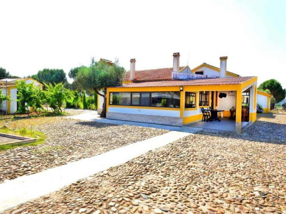 Farm i Abrantes, Santarem - foto 2
