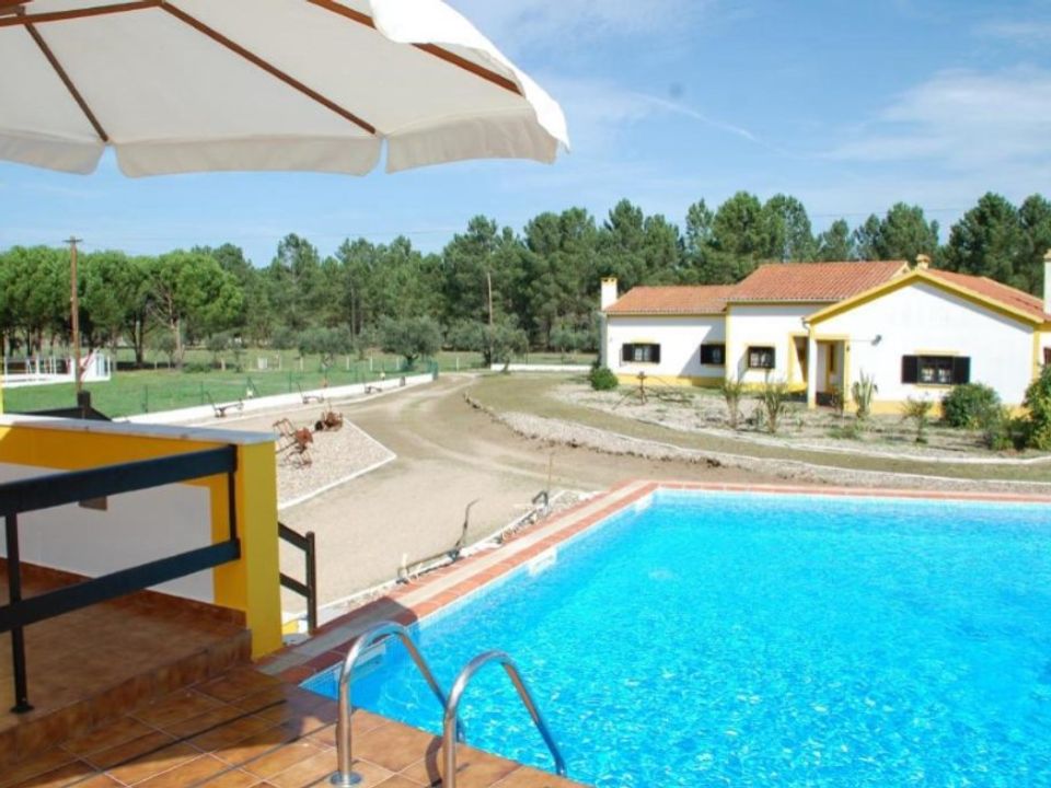 Farm i Abrantes, Santarem - foto 4