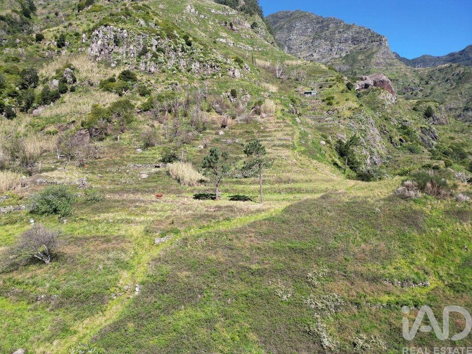 Helårsgrund i Ribeira Brava, Madeira - foto 4