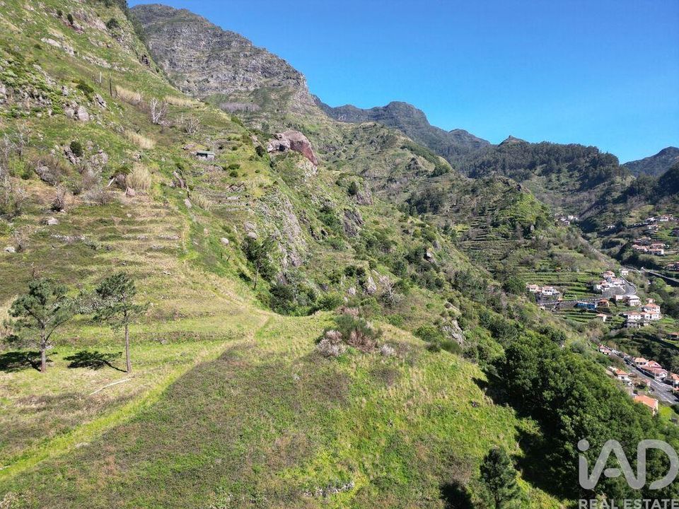 Helårsgrund i Ribeira Brava, Madeira - foto 5