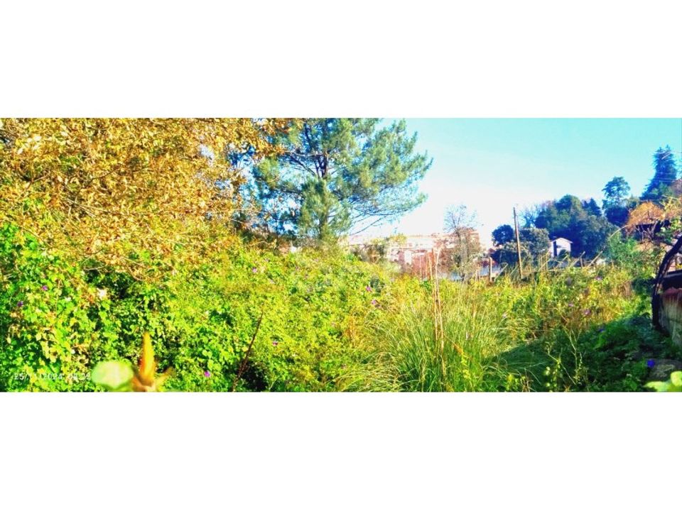 Helårsgrund i Oliveira de Azemeis, Aveiro - foto 4