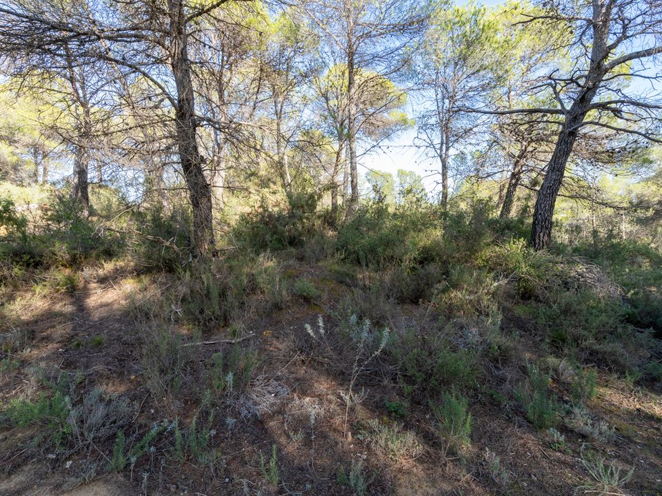 Finca i Arens De Lledo, Teruel - foto 4