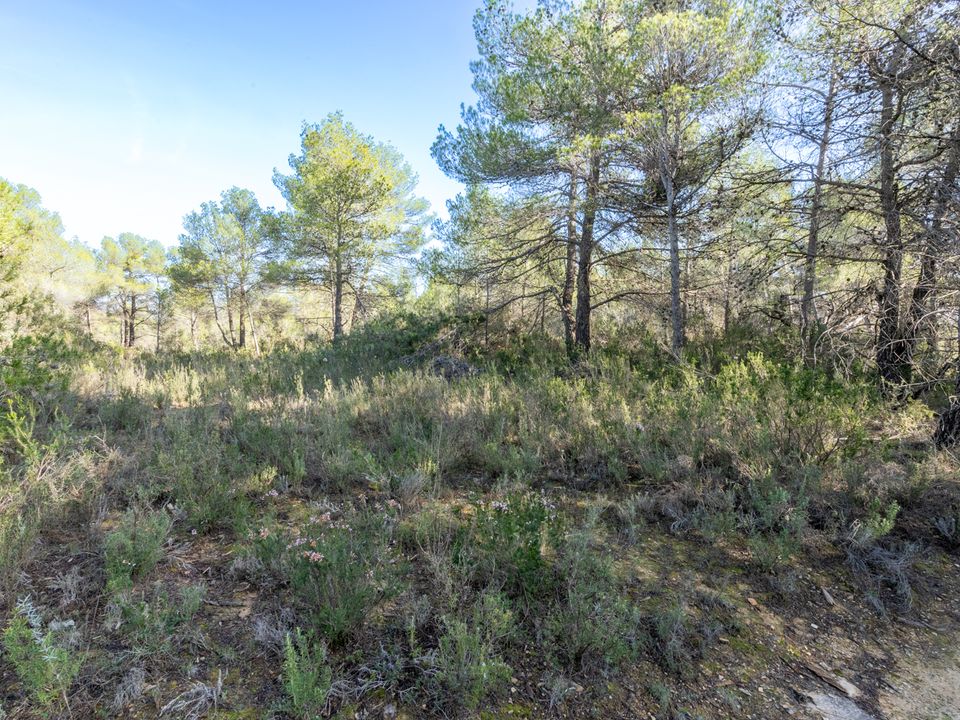 Finca i Arens De Lledo, Teruel - foto 5