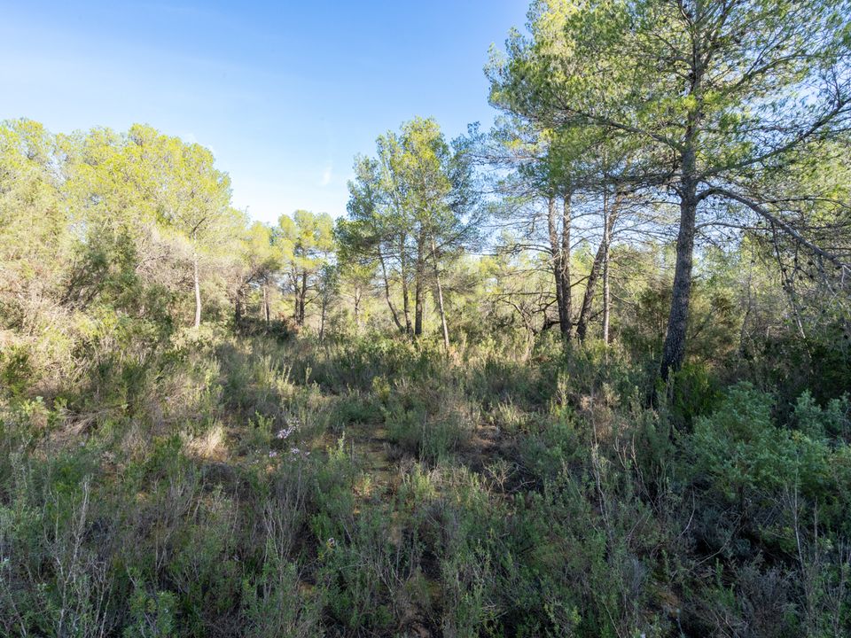 Finca i Arens De Lledo, Teruel - foto 3