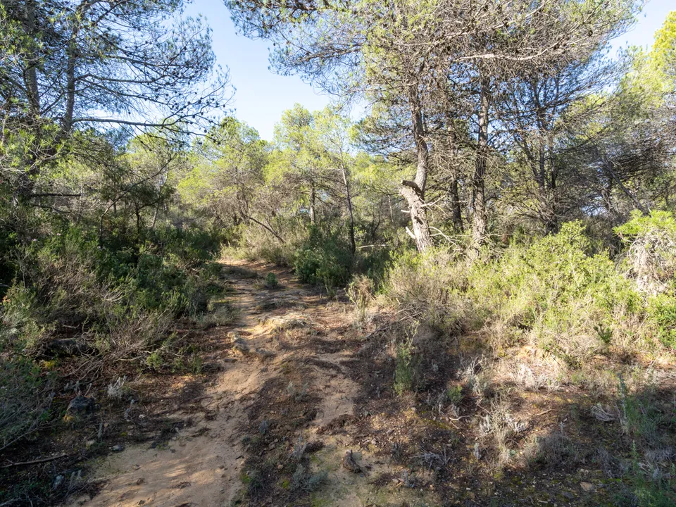 Finca i Arens De Lledo, Teruel - foto 2