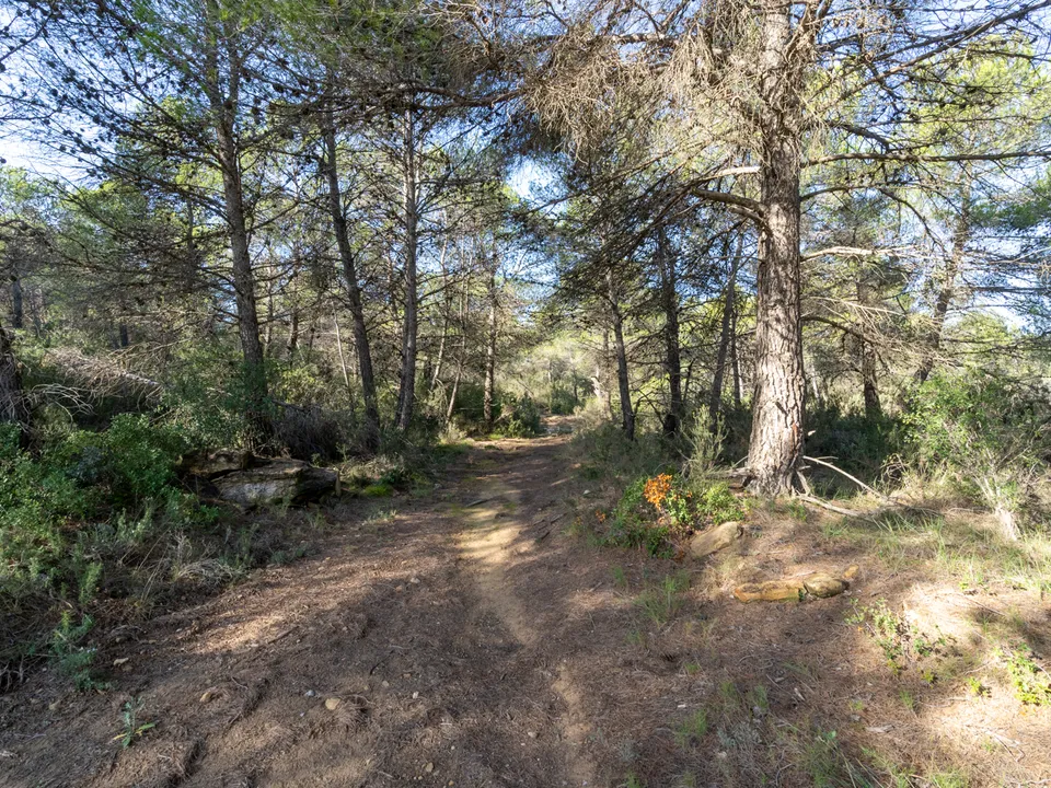 Finca i Arens De Lledo, Teruel - foto 1