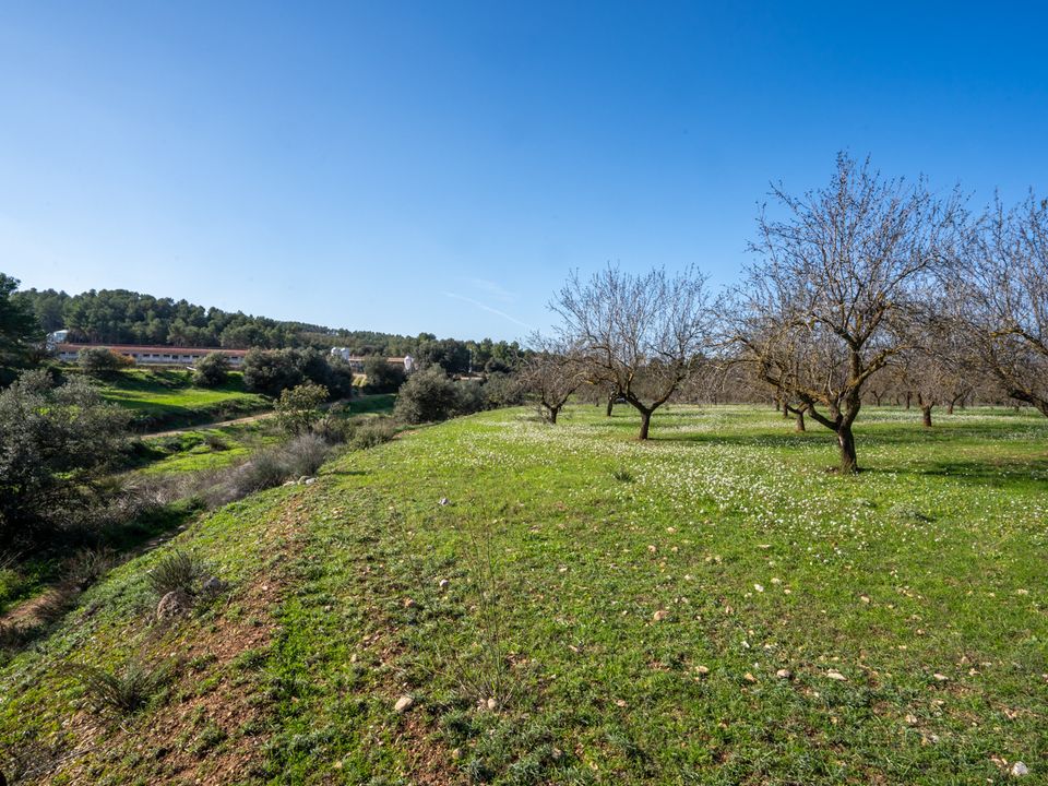 Finca i Horta De Sant Joan, Tarragona - foto 4