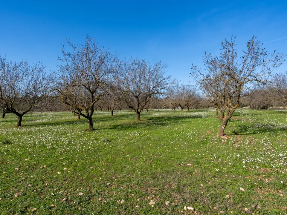 Finca i Horta De Sant Joan, Tarragona - foto 2