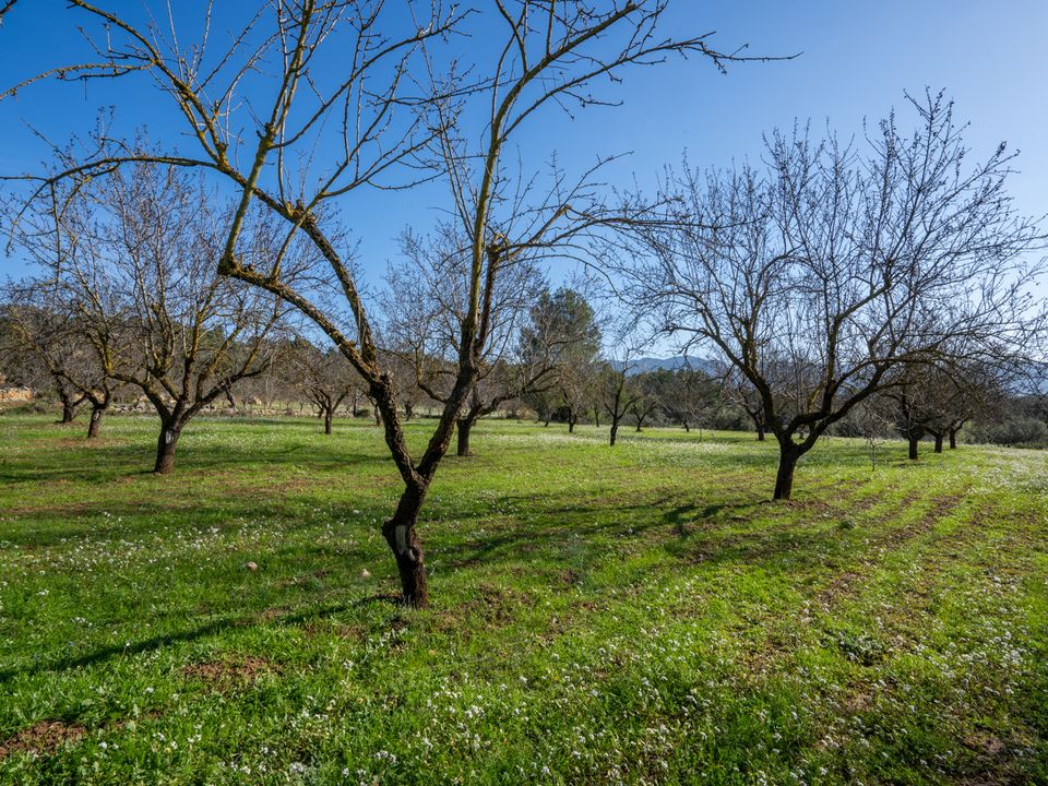 Finca i Horta De Sant Joan, Tarragona - foto 3