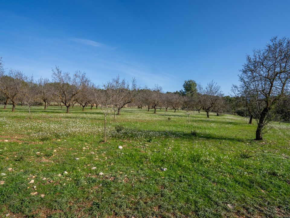 Finca i Horta De Sant Joan, Tarragona - foto 1