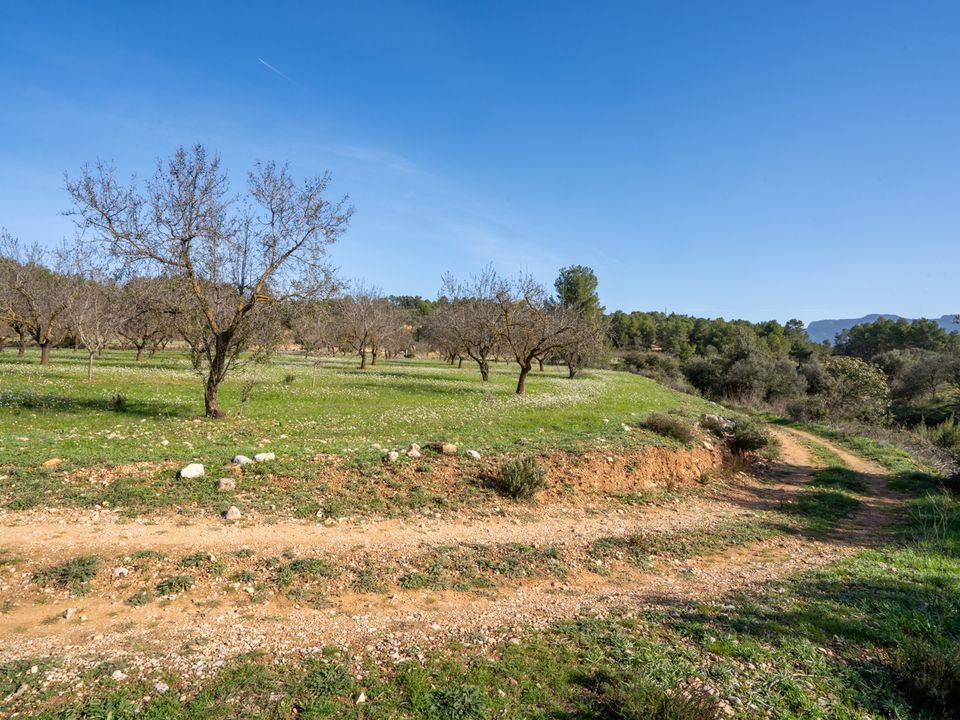 Finca i Horta De Sant Joan, Tarragona - foto 5