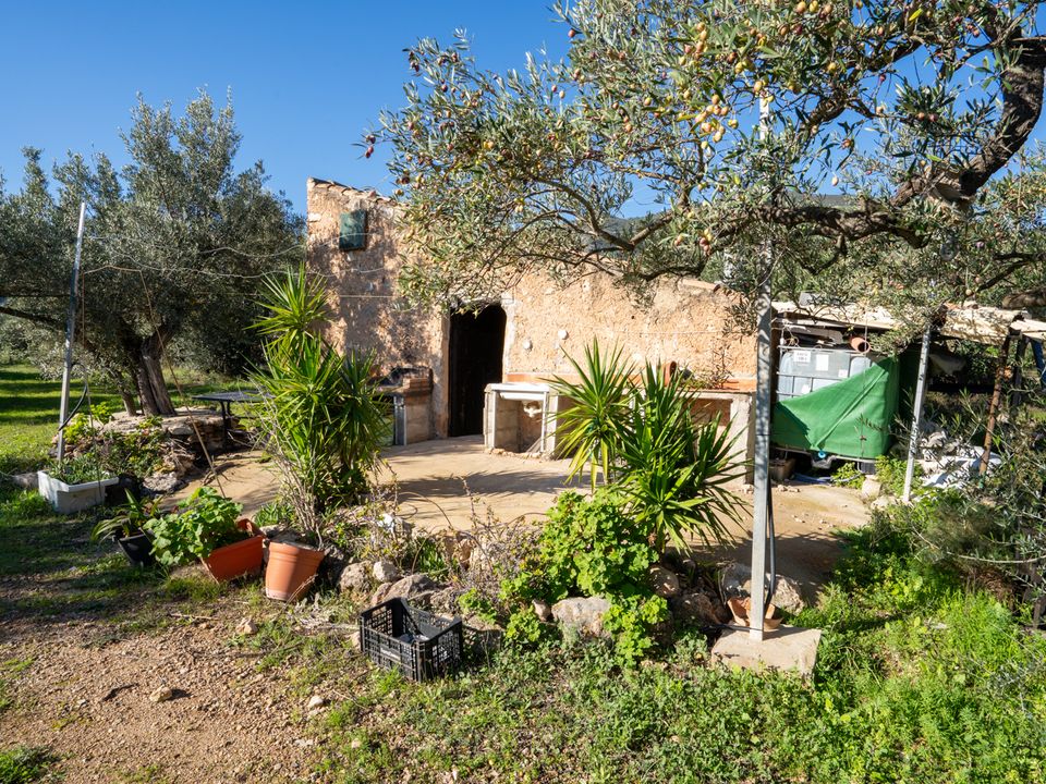 Finca i Xerta, Tarragona - foto 5