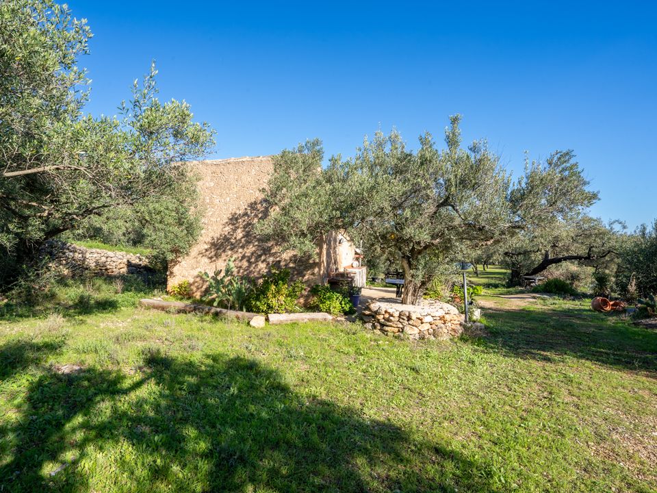 Finca i Xerta, Tarragona - foto 4