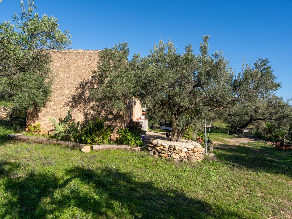 Finca i Xerta, Tarragona - foto 3