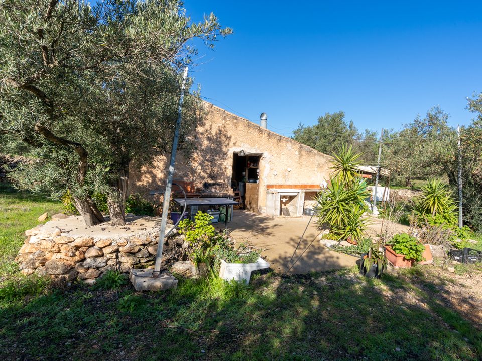 Finca i Xerta, Tarragona - foto 1